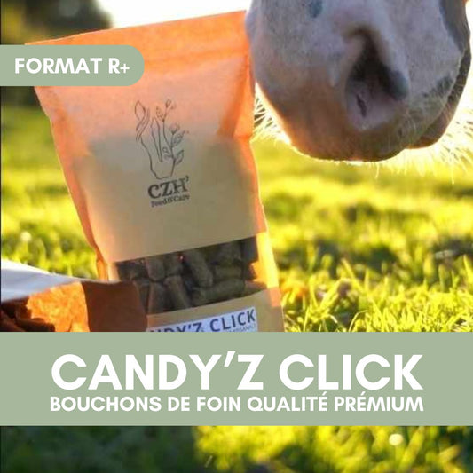 Candy'z Click | Format R+