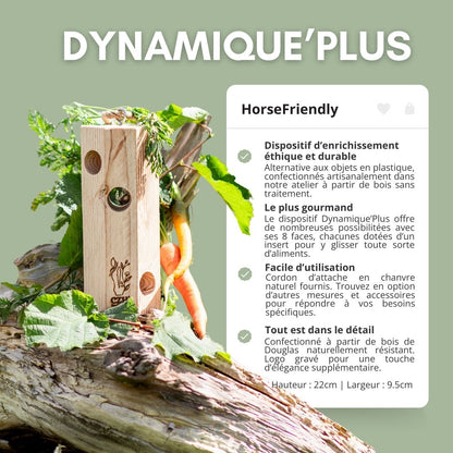 Dynamique'Plus