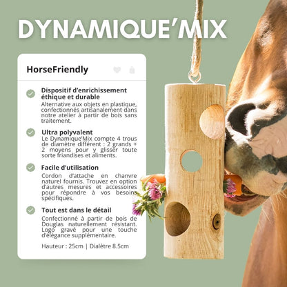 Dynamique'Mix