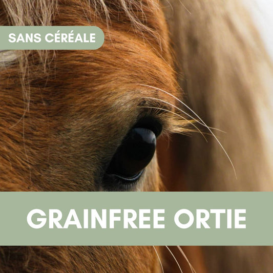 GrainFree Ortie | Locomotion et Tonus ⚡