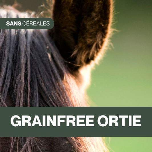 GrainFree Ortie | Locomotion et Tonus ⚡