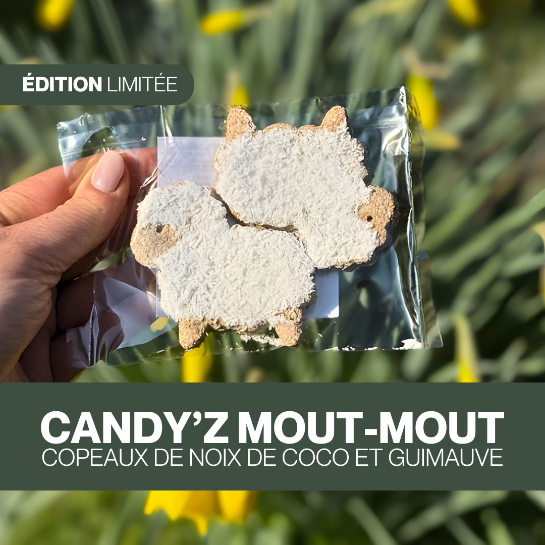 Duo de Candy'z Mout-Mout 🐑 Friandises naturelles pour chevaux  🌿 Édition Spéciale