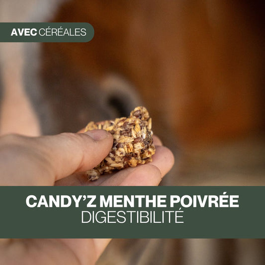 Candy'z Menthe Poivrée | Digestion 🍃