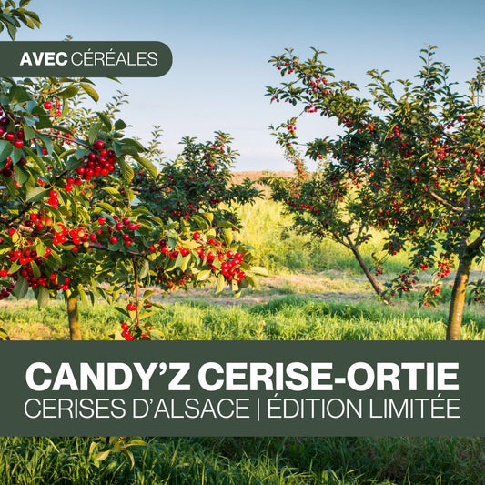 Candy'z Cerise-Ortie | Édition limitée 🍒
