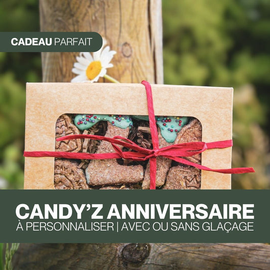 Candy'z Anniversaire | Avec l'âge de votre cheval