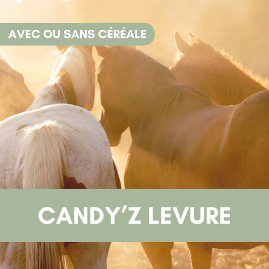 Candy'z Levure | Digestion 🍃