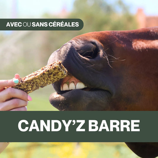 Candy'z Barre Friandises XXL