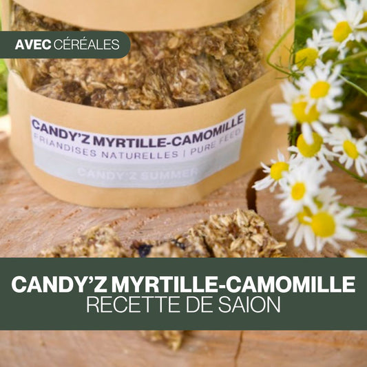 Candy'z Myrtille-Camomille | Summer ON 💛