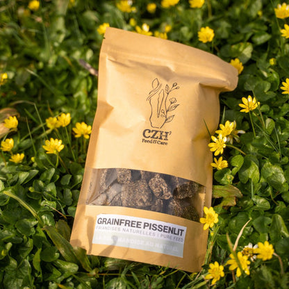 GrainFree Pissenlit | Printemps ON 🌿