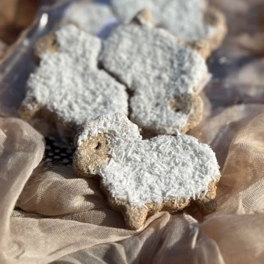 Duo de Candy'z Mout-Mout 🐑 Friandises naturelles pour chevaux  🌿 Édition Spéciale