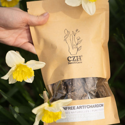 GrainFree Arti'Chardon | Printemps ON 🌿