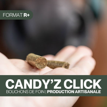Candy'z Click | Format R+