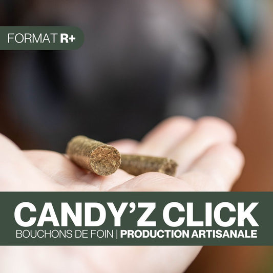 Candy'z Click | Format R+