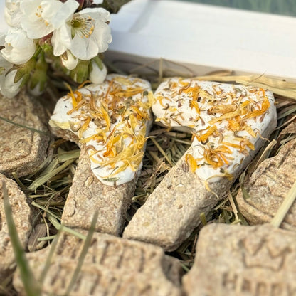 Candy'z Anniversaire 🎂 Friandises naturelles pour chevaux 🌿 Coffret personnalisé