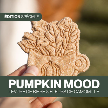 Candy'z Pumpkin Mood 🍂