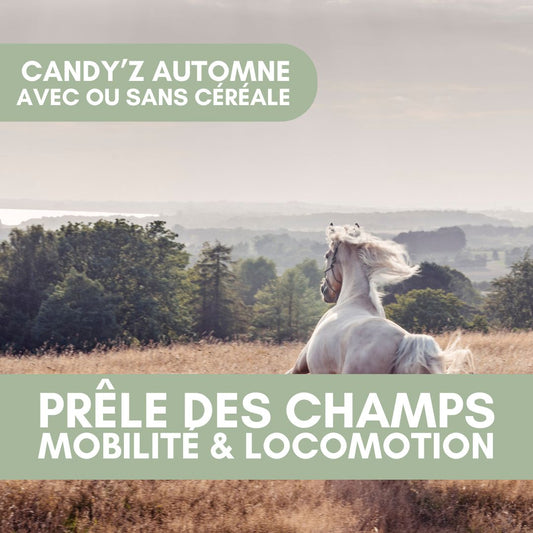 Candy'z Prêle | Mobilité 🐎