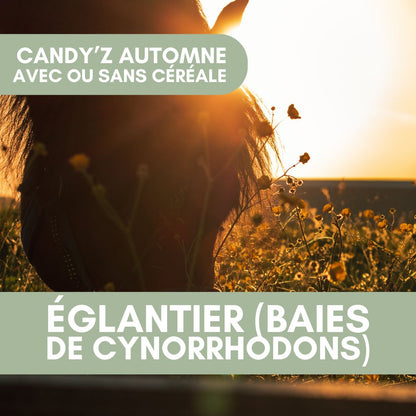 Candy'z Églantier (Cynorrhodons) | Immunité 🧡