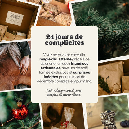🎁 Calendrier de l'Avent pour chevaux