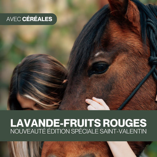 Candy'z Lavande-Fruits Rouges 🍒 Friandises naturelles pour chevaux ❤ Édition Limitée