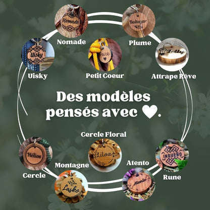 Médaillon de Licol