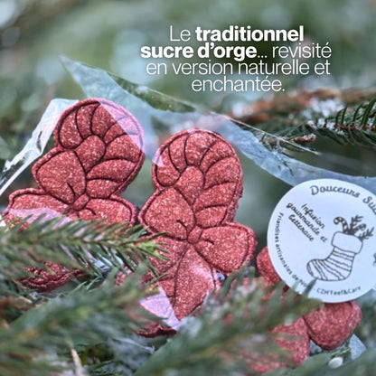 Douceurs Gourmandes Sucre d'Orge ❤ Friandises naturelles pour chevaux 🎄 Édition Spéciale Noël