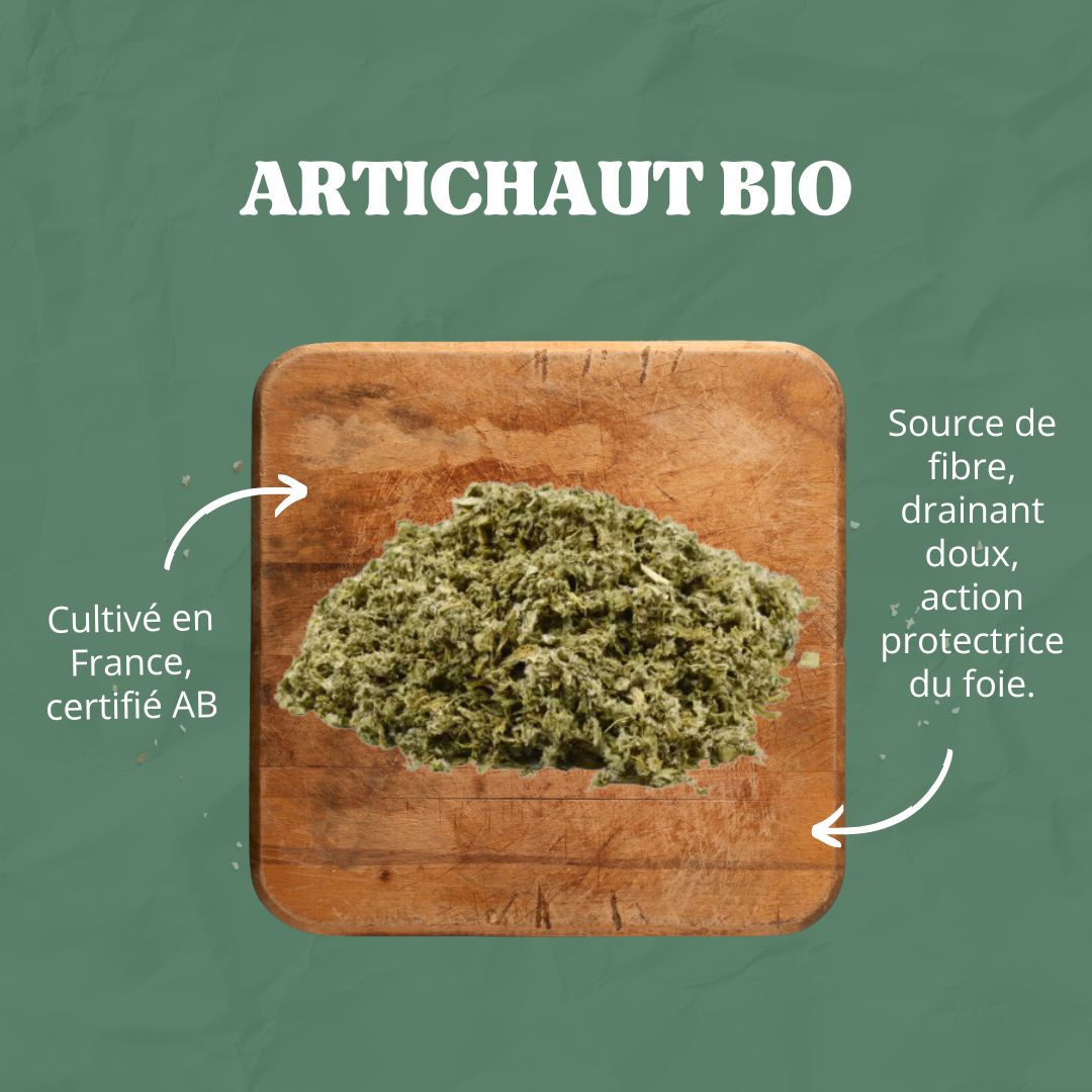 Artichaut BIO | Plante pure