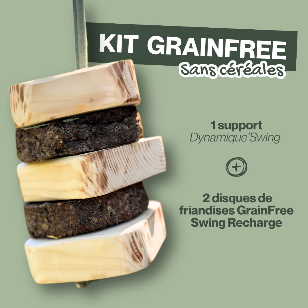 Dynamique Swing 🌿 Jouet d'enrichissement à suspendre