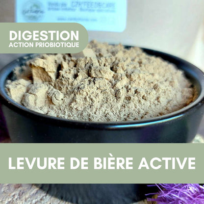 Levure de Bière Active