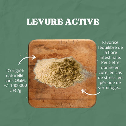 Levure de Bière Active