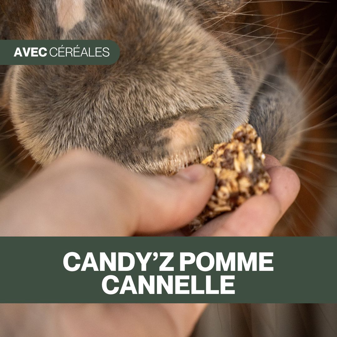 Candy'z Pomme-Cannelle 🍎 Friandises naturelles pour chevaux 🎄 Édition Spéciale Noël