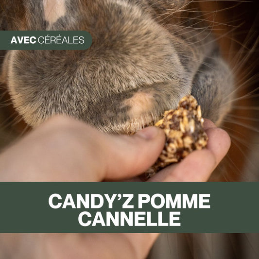 Candy'z Pomme-Cannelle 🍎 Friandises naturelles pour chevaux 🎄 Édition Spéciale Noël