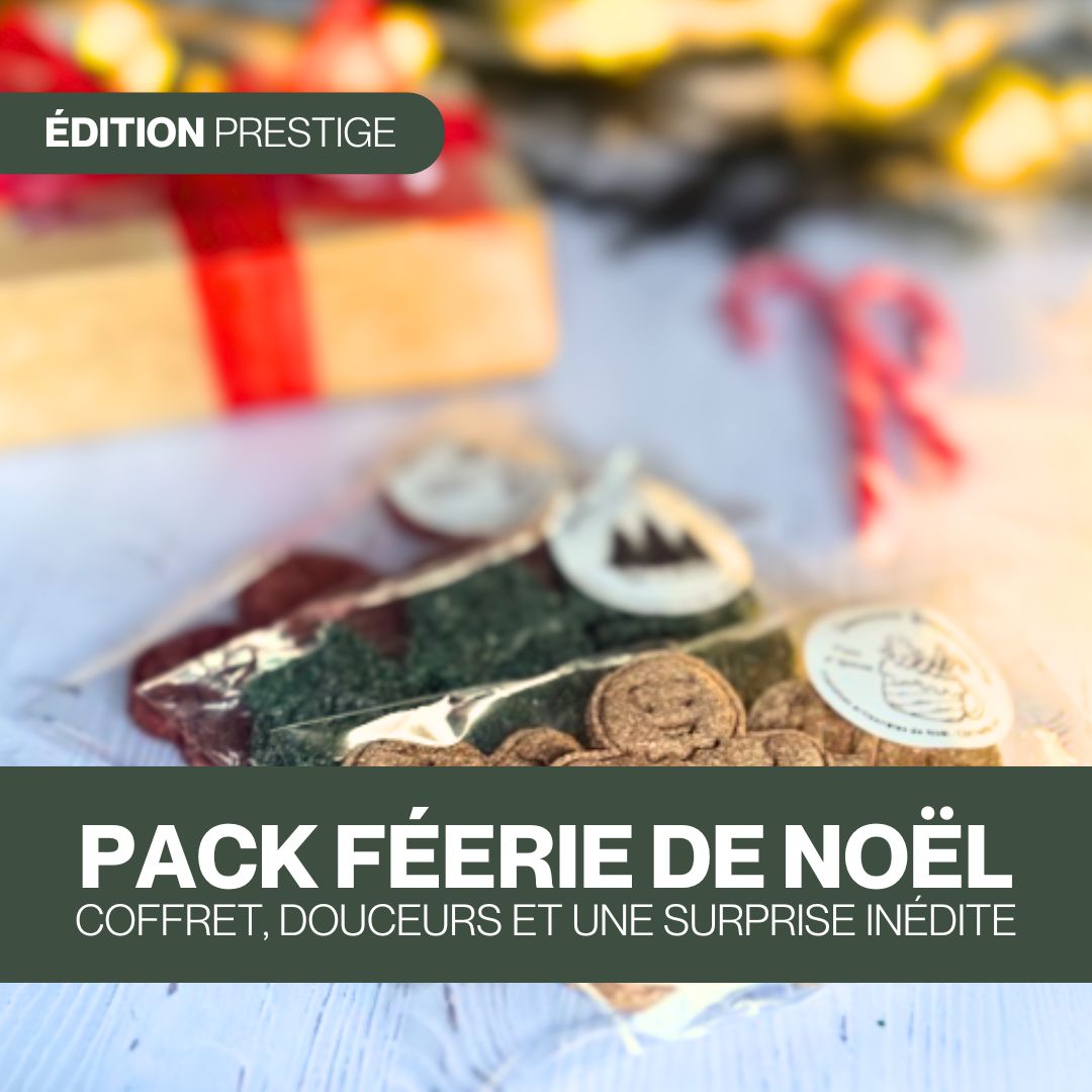 Pack Féerie de Noël ✨ Friandises naturelles pour chevaux 🧑‍🎄 Édition Spéciale Noël