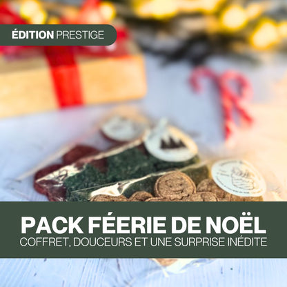 Pack Féerie de Noël ✨ Friandises naturelles pour chevaux 🧑‍🎄 Édition Spéciale Noël