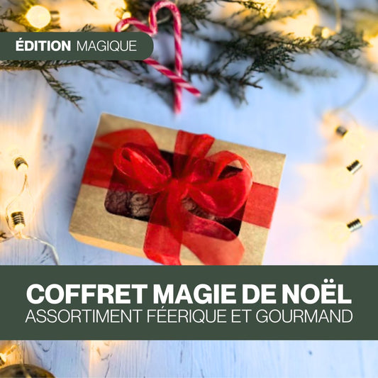 Coffret Magie de Noël 🎁 Friandises naturelles pour chevaux 🎄 Édition Spéciale Noël