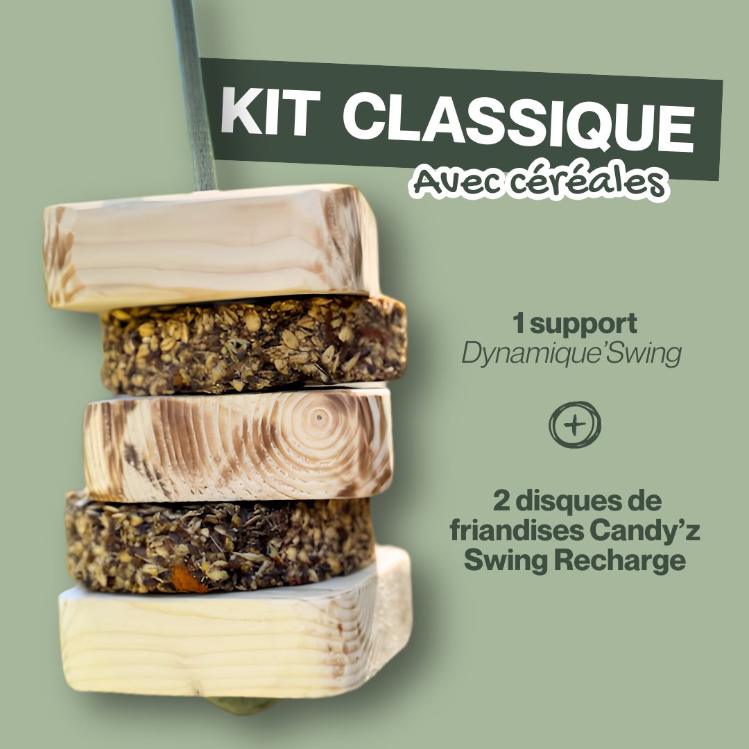Dynamique Swing 🌿 Jouet d'enrichissement à suspendre