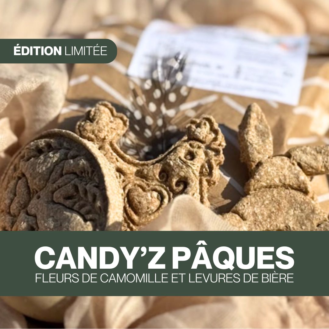 Candy'z Pâques 🐰 Friandises naturelles pour chevaux  🌿 Édition Spéciale