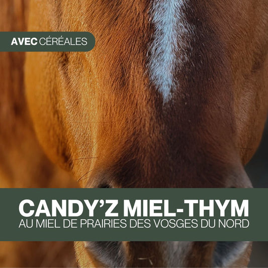 Candy'z Miel-Thym | Respiration 💨