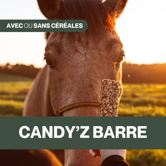 Candy'z Barre 💚 Friandises naturelles pour chevaux 🌿 Format XXL