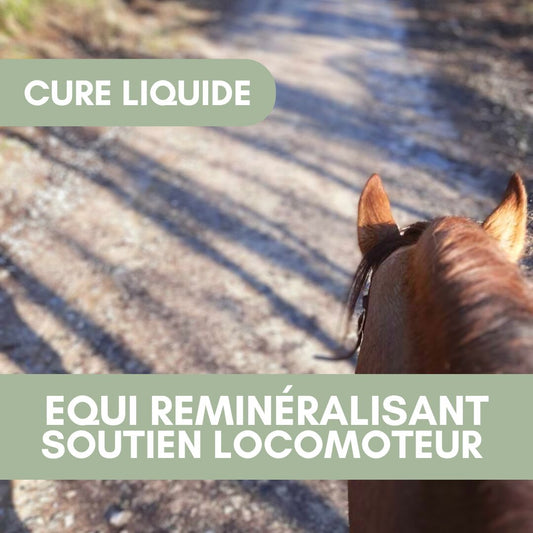 Equi Reminéralisant