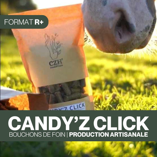 Candy'z Click | Format R+
