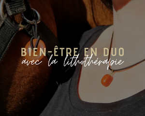 Pierres de lithothérapie | Cavalier